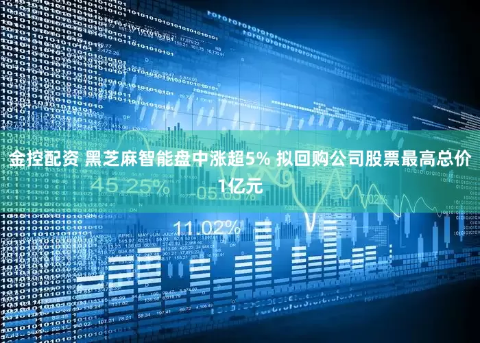 金控配资 黑芝麻智能盘中涨超5% 拟回购公司股票最高总价1亿元